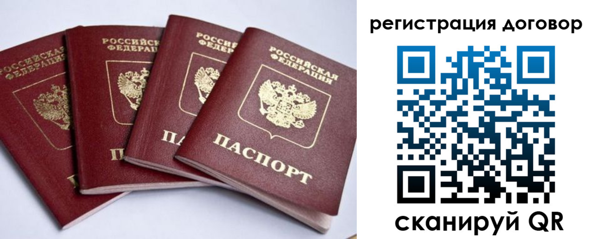 прописка поиск в Лосино-Петровском