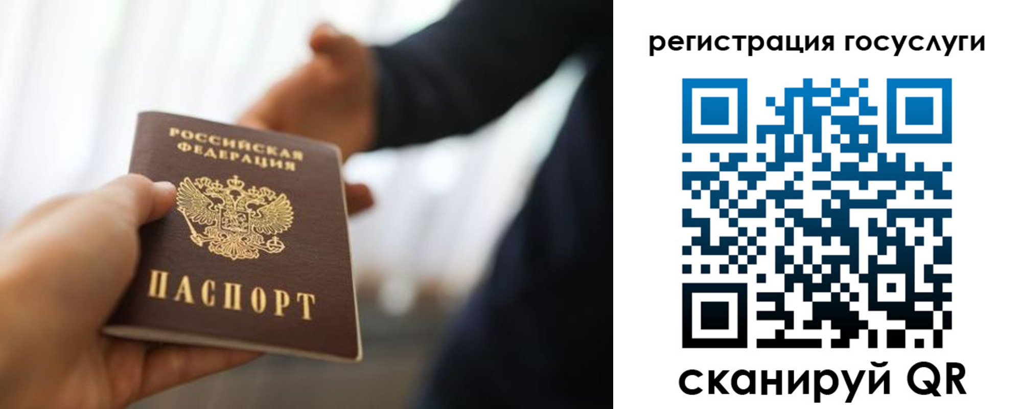 прописка в Лосино-Петровском