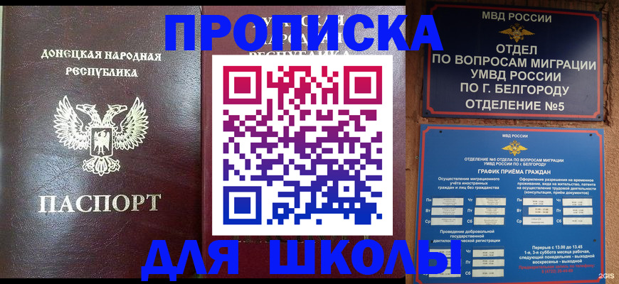 прописка для работы в Лосино-Петровском